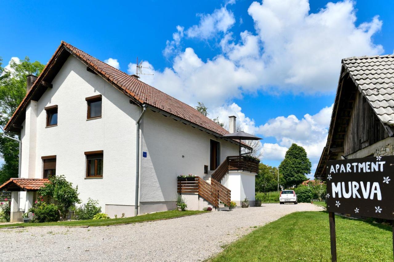 Apartment Murva Dreznik Grad Bagian luar foto