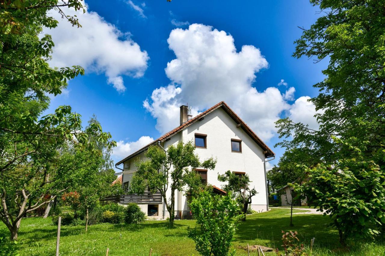 Apartment Murva Dreznik Grad Bagian luar foto